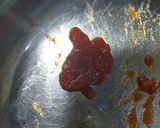 A picture of step 3 of Ketchup.