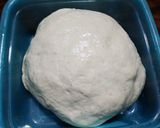 Foto del paso 8 de la receta: Ciabatta