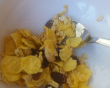 Foto del paso 2 de la receta: Batibarrita proteica