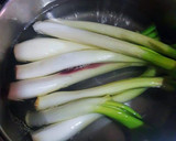 Foto del paso 3 de la receta: Cebolletas tiernas en vinagre agridulce en semi conservas
