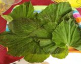 A picture of step 1 of Katla fish in gourd leaves.