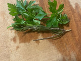 Soupe a l’ail - French Garlic Soup