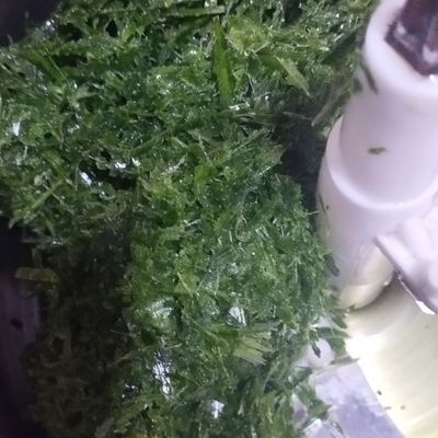 Langkah 1