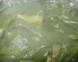 Hình bước làm 1 của món Canh rong biển nấu tôm khô