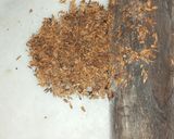 A picture of step 4 of Tempting flavor ingredient fried Cumin seeds.