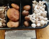 Foto del paso 2 de la receta: Albóndigas estofadas con calamarcitos y setas variadas