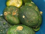 Zapallitos rellenos
