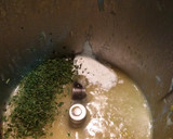 Foto del paso 6 de la receta: Merluza al cava con thermomix
