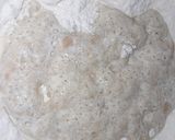 Foto del paso 1 de la receta: Pan de molde Económico