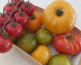 Une image de l'étape 1 de TIAN de courgette jaune 🍅🥒🧅.