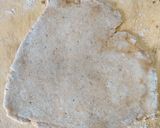 A picture of step 5 of BARLEY FLOUR PARATHA..