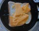 A picture of step 2 of Waffle Iron Panini.