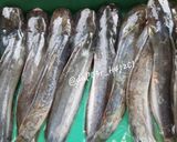 Foto langkah ke 2 dari resep Cara MenghiLangkan Lendir Ikan LeLe.