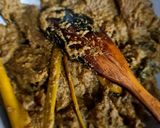 Foto langkah ke 4 dari resep Rendang Batita-Balita.