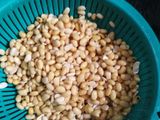 Susu Kacang Kedelai