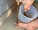 Foto del paso 4 de la receta: Cruasanes de mantequilla con chocolate