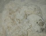 Hình bước làm 3 của món Thạch Quy Linh Trân Châu