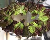 Une image de l'étape 5 de Salade composée laitue, concombre, betteraves et olives.