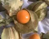 Une image de l'étape 9 de 🎁Panna 🥭cotta🍍 fête 🥳 les fruits exotiques🫐🥝.