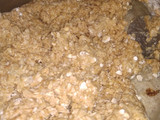 Galletitas de avena