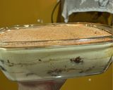 Foto del paso 8 de la receta: Tiramisú