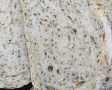 Foto langkah ke 7 dari resep SourDough bread (Roti Ragi Alami).