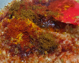 રીંગણ નો ઓળો અને રોટલા (Ringan Oro Rotla Recipe In Gujarati) રેસીપી સ્ટેપ2ફોટો