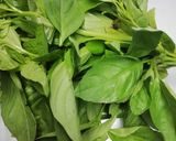 Foto del paso 1 de la receta: Salsa pesto