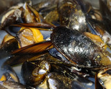 Foto del paso 4 de la receta: Fondo para arroz. O Fideuá con Mejillones y setas