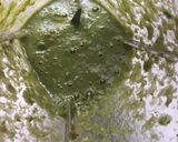 A picture of step 2 of Green chutney.