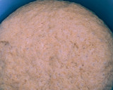 Foto del paso 2 de la receta: Pan de molde integral