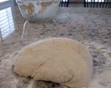 A picture of step 5 of Artisan Bread.