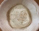Basic Sourdough Bread recipe step 5 photo