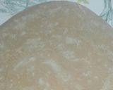 A picture of step 10 of Half Cooked Frozen Paratha.