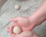 Foto del paso 3 de la receta: Masa Philo o Pasta Brick