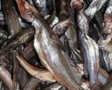 A picture of step 1 of Fish fry.