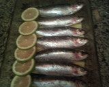 Foto del paso 3 de la receta: Sardinas al horno en cama de calabacín