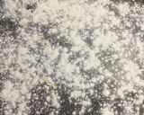 Foto del paso 3 de la receta: Galletitas de vainilla