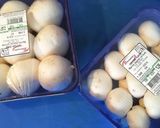 Foto del paso 1 de la receta Salteado de champiñones con ajetes y langostinos