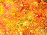 Cazuela de frijoles con garra