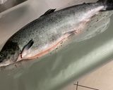 Une image de l'étape 5 de Saumon sauvage en papillote à l ail mariné et herbes aromatiques.