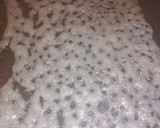 Foto del paso 4 de la receta: Tiras de pota en tinta de calamar