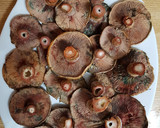 Foto del paso 1 de la receta: Níscalos al ajillo