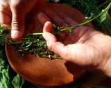 Foto del paso 4 de la receta: Guías espesadas