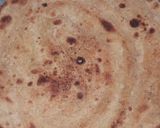 A picture of step 6 of Masala lacha parantha.