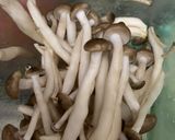 Hình bước làm 1 của món Canh mướp mồng tơi nấm linh chi