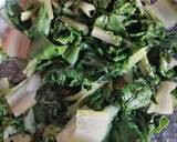 Friciulin di coste passaggio 1 foto