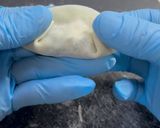 A picture of step 15 of Easy Gyoza Recipe: How to Wrap and Freeze.