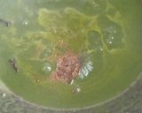 A picture of step 9 of Palak pulao.