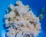 Foto langkah ke 2 dari resep Cimol Kentung.
